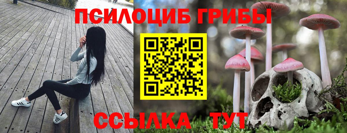 Гудермес  Галлюциногенные грибы Magic Shrooms  Галлюциногенные грибы ЛСД  Вход с VPN 