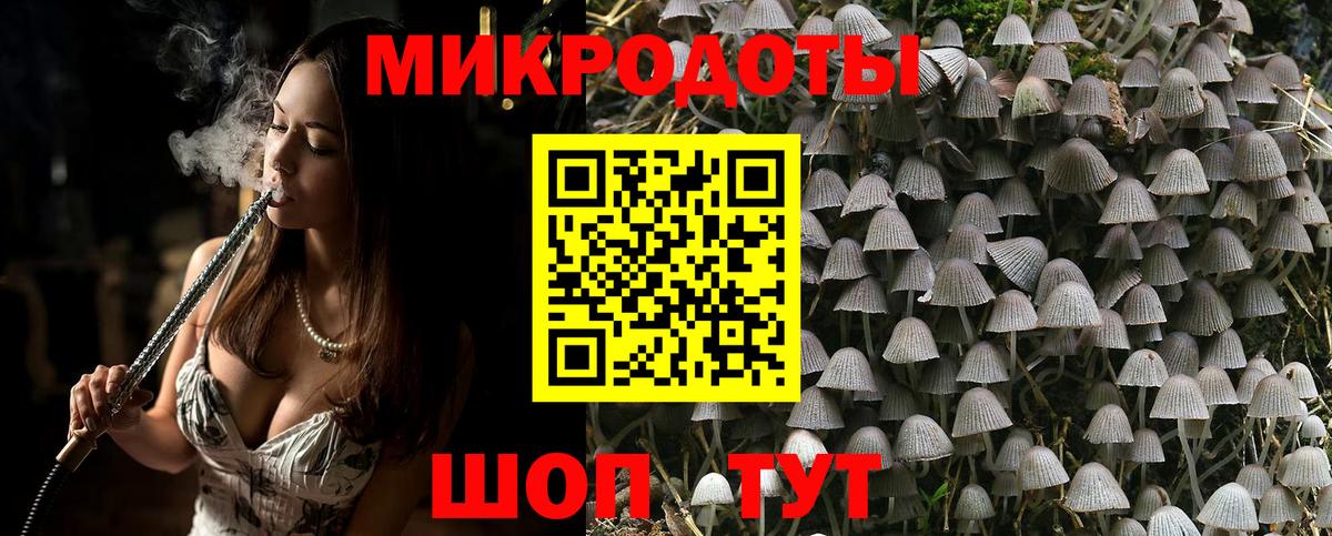 Галлюциногенные грибы прущие грибы Гудермес